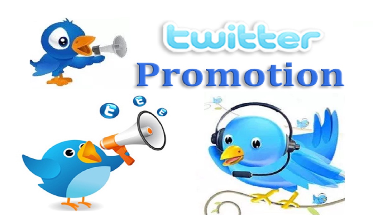 twitter promotion company, twitter promotion, social media marketing agency, twitter advertising agency, brandezza, digital marketing